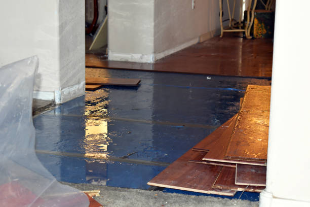 Professional Sewage Cleanup technician working in Romeoville, IL